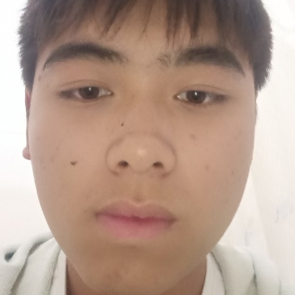 花瓣深拥怕孤单的照片