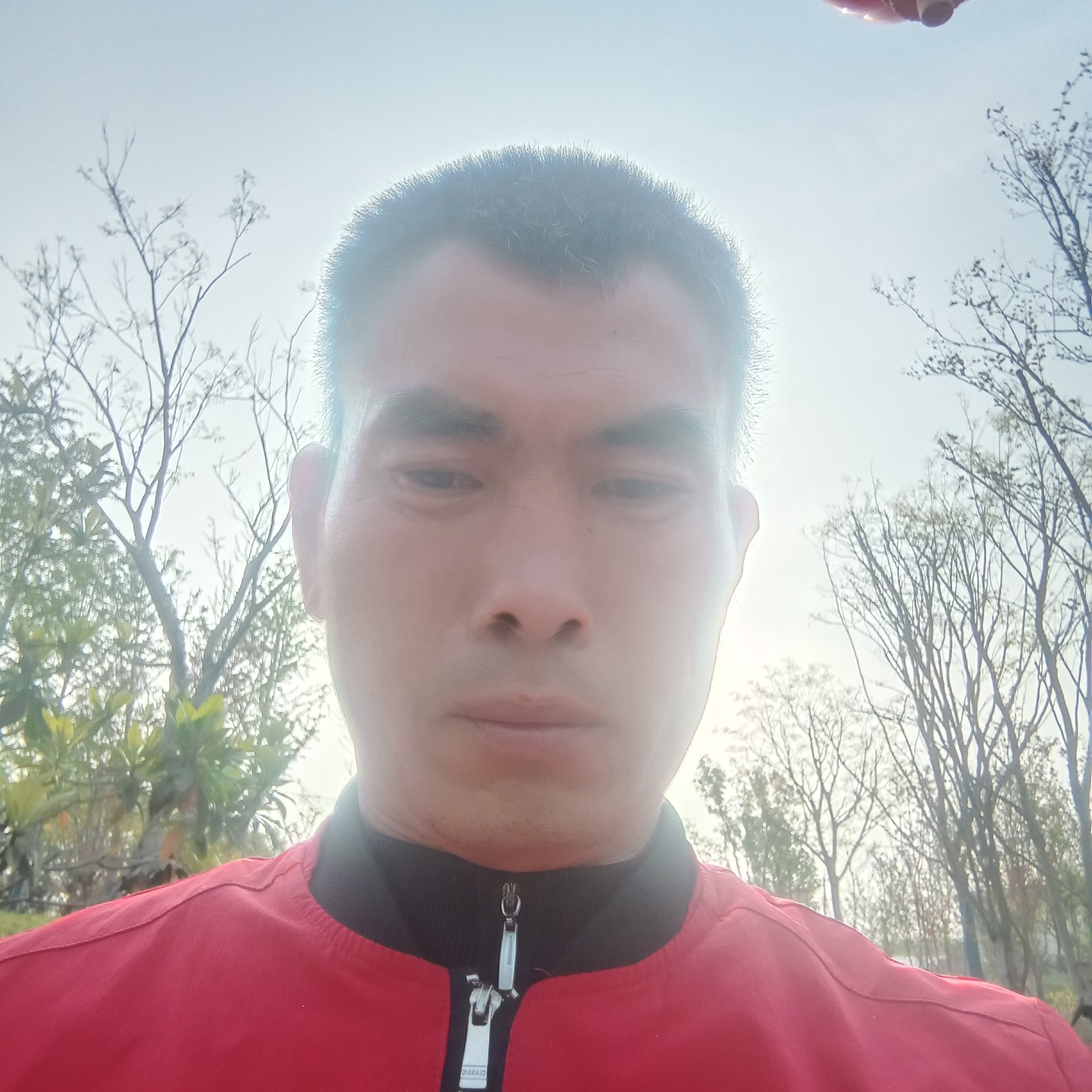 画板就外向的照片