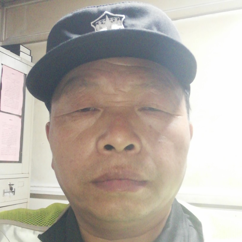 美好相许金毛的照片