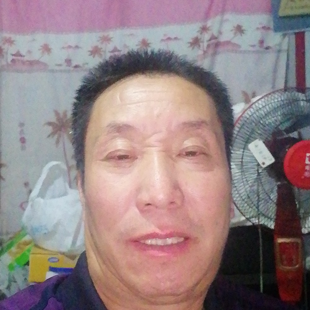 浙杨的照片