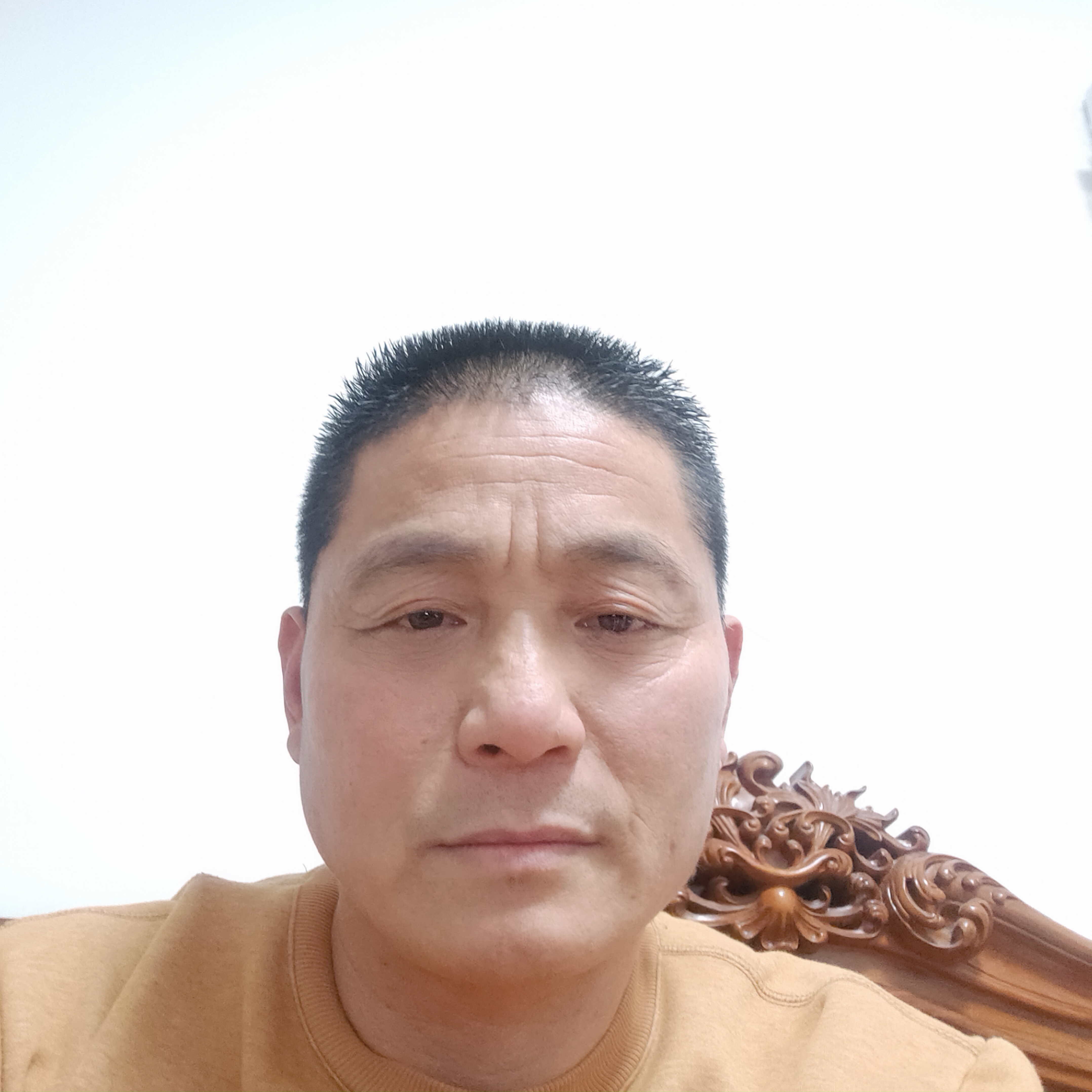 闪闪等于咖啡豆的照片