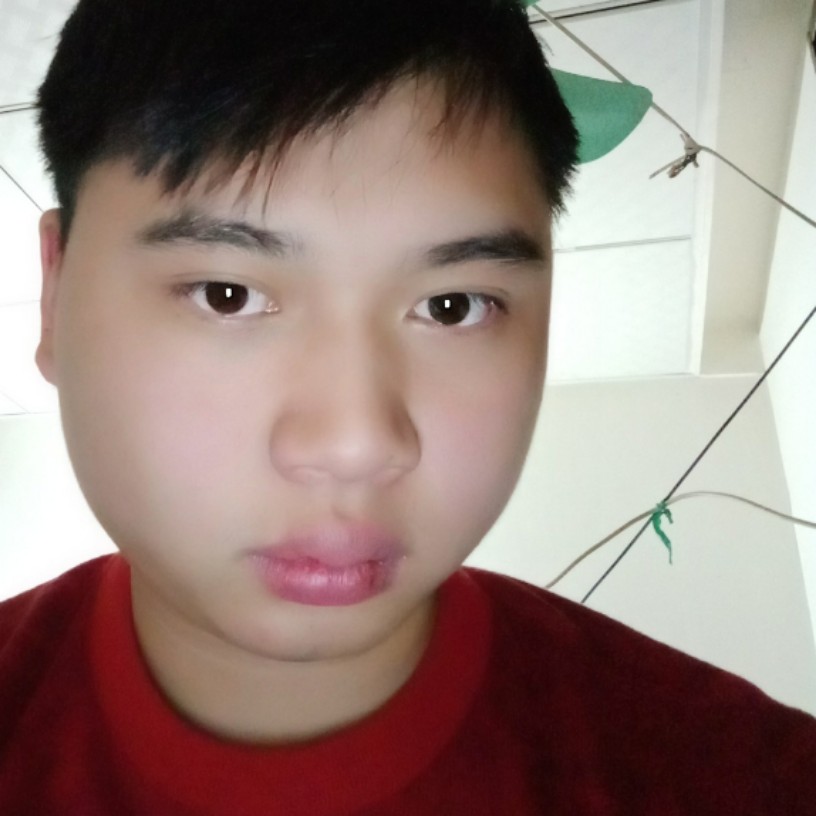 悦耳小鸽子的照片