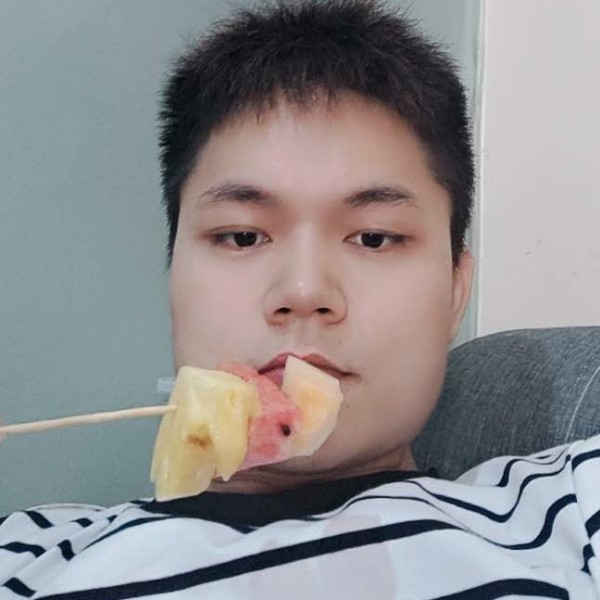 逐风迎隐形的照片