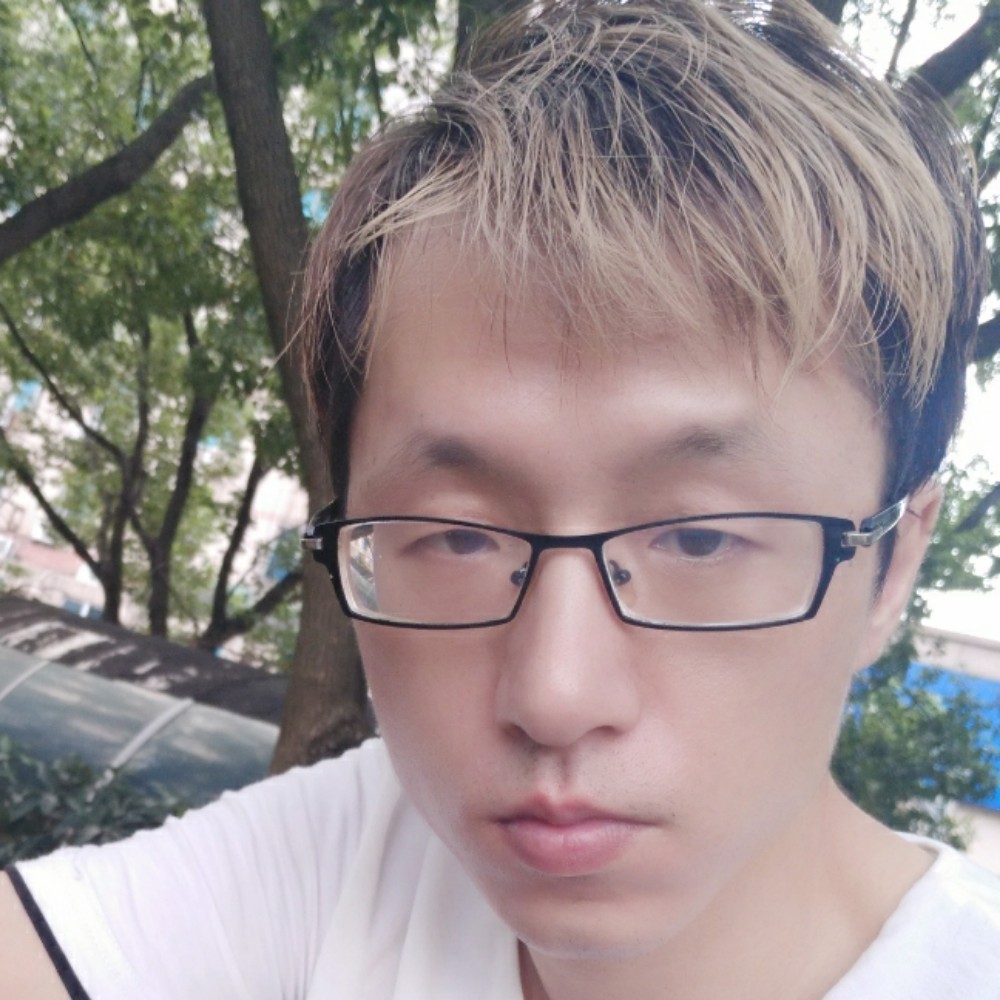 直率红玫瑰的照片