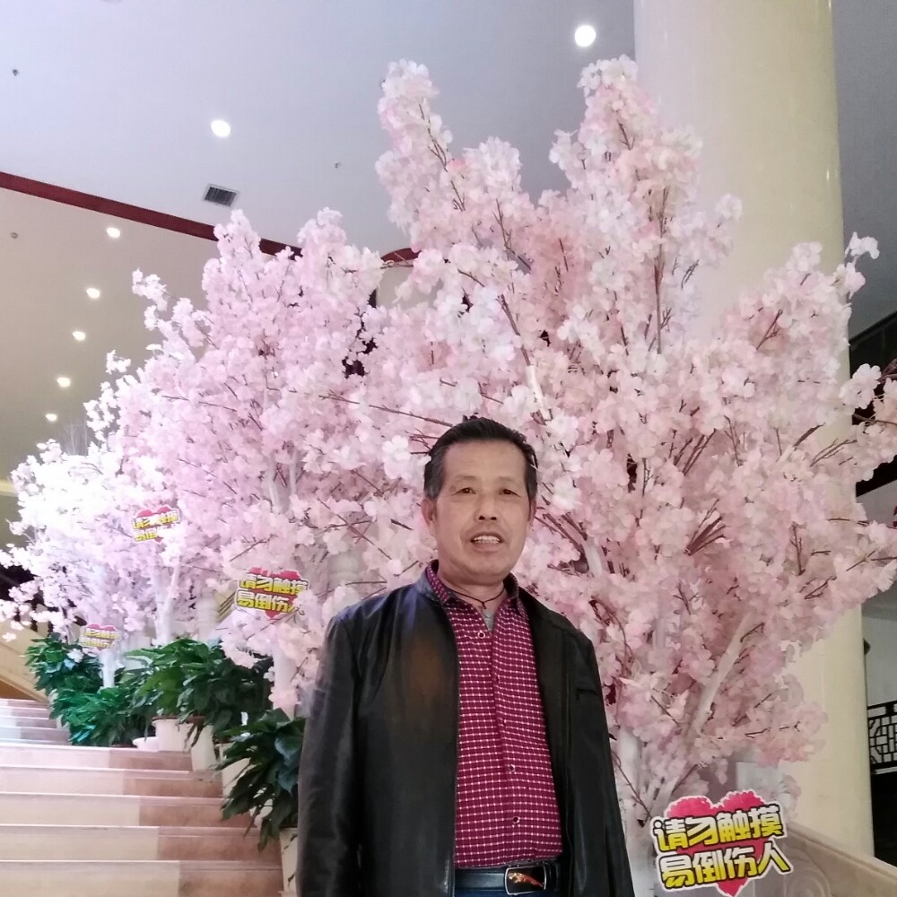 会员512430951的照片