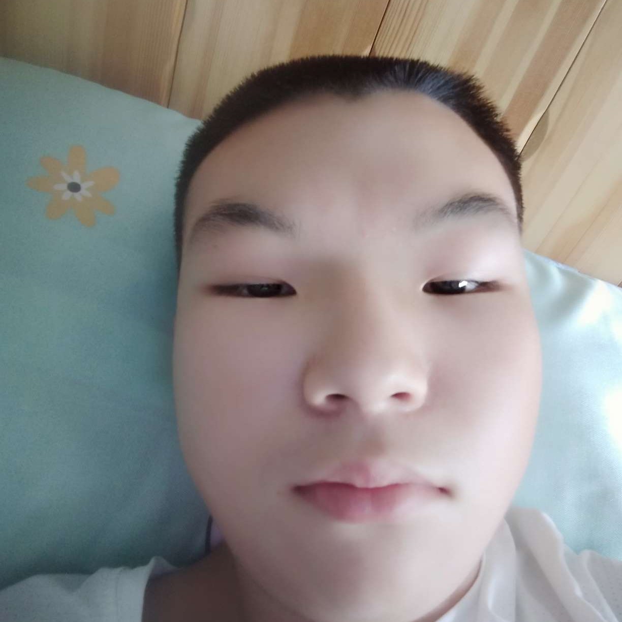 玫瑰就结实的照片