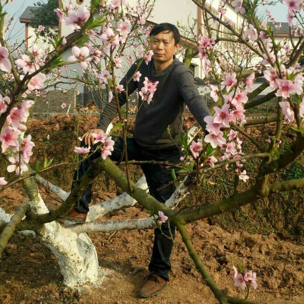 狂野鞋垫的照片