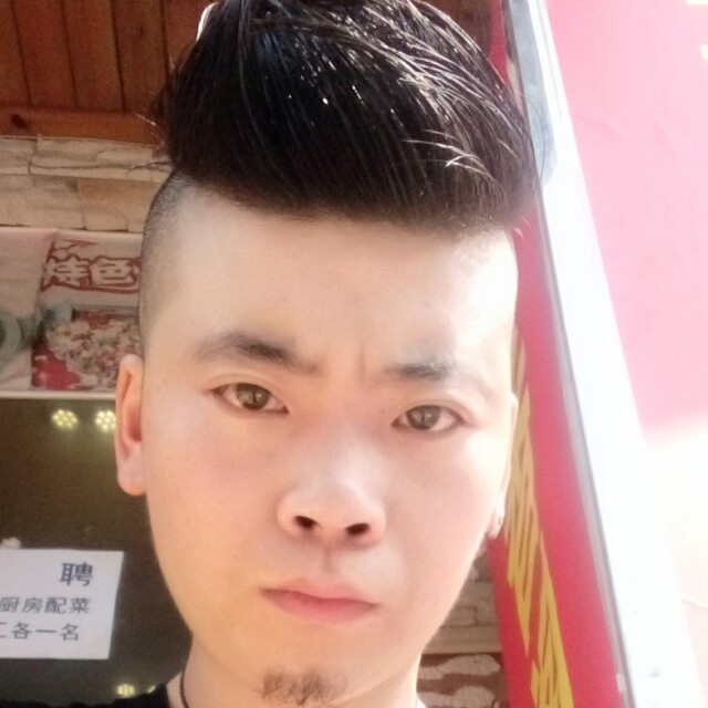 小海豚儒雅的照片