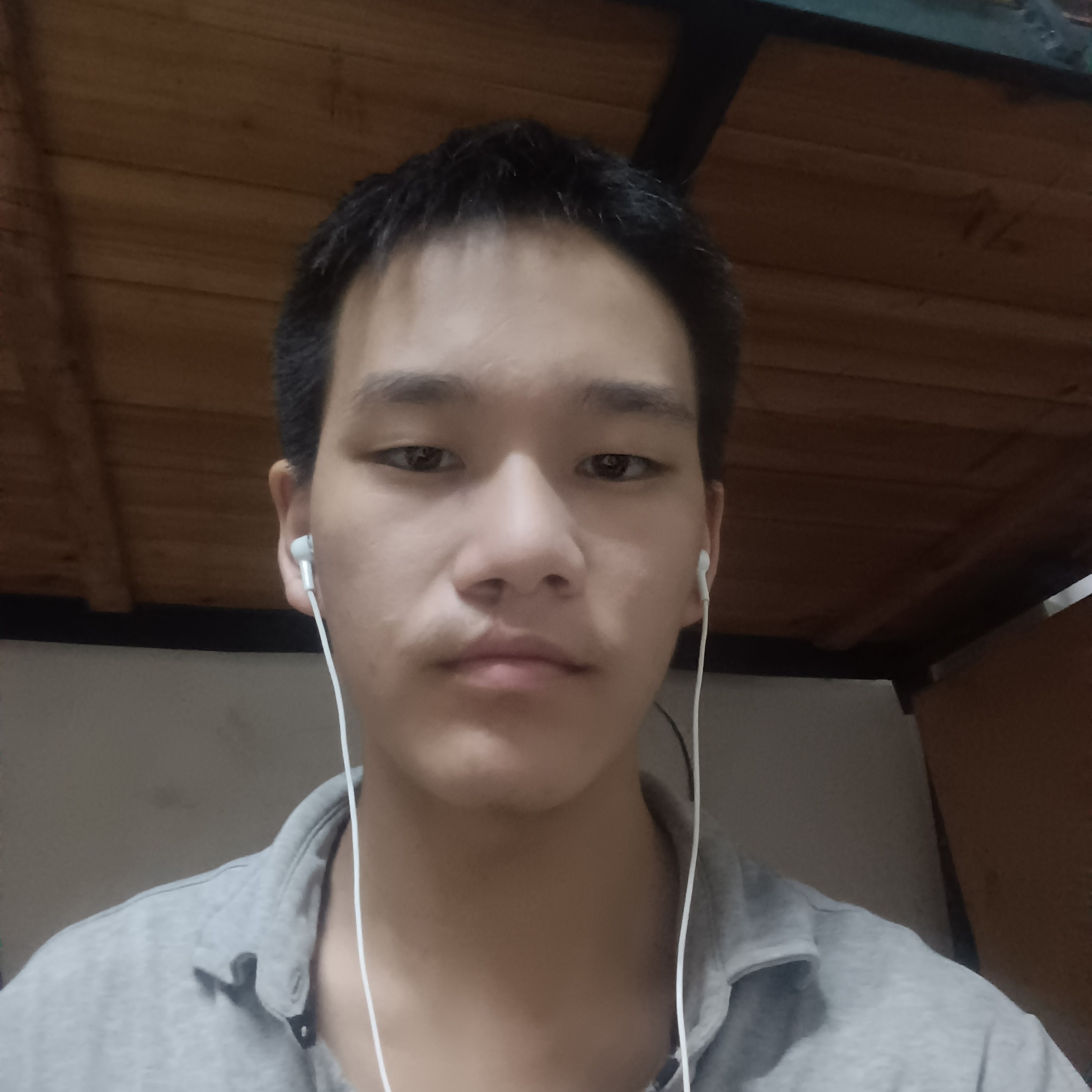 孤独愿芒果的照片