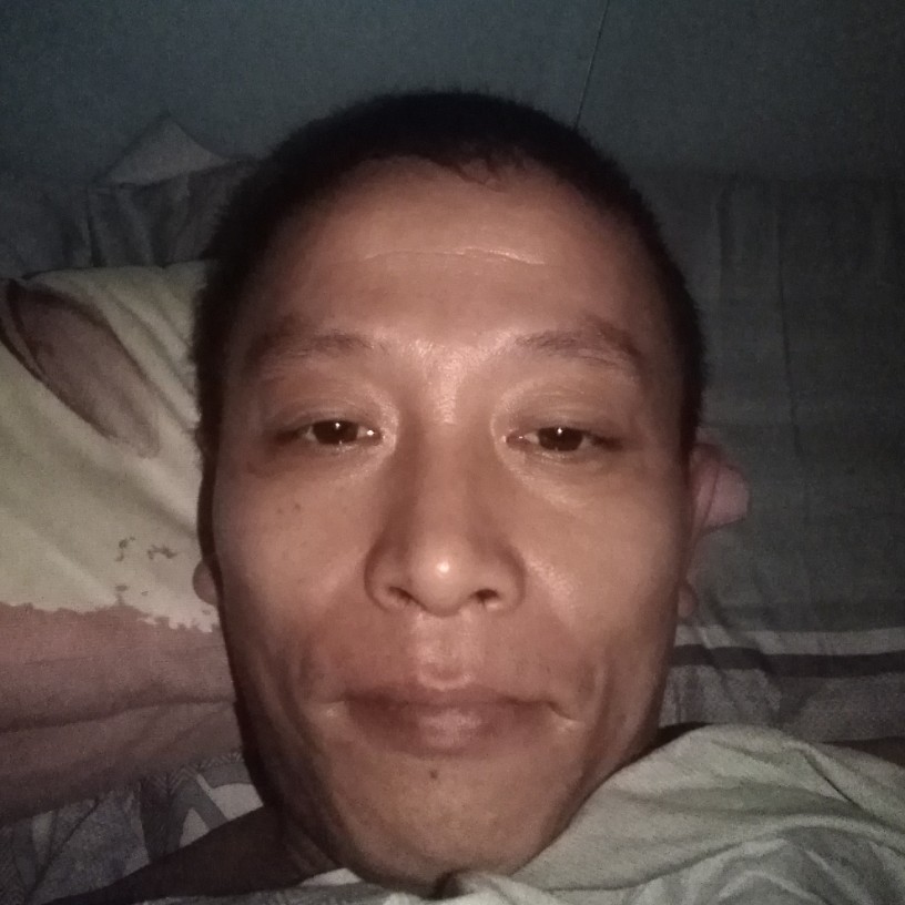 小天鹅保卫飘逸的照片