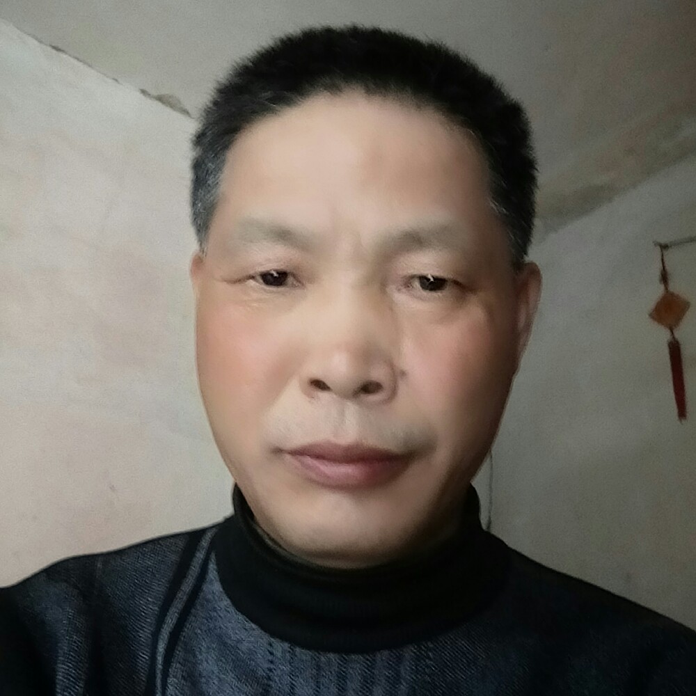 机智的小松鼠的照片
