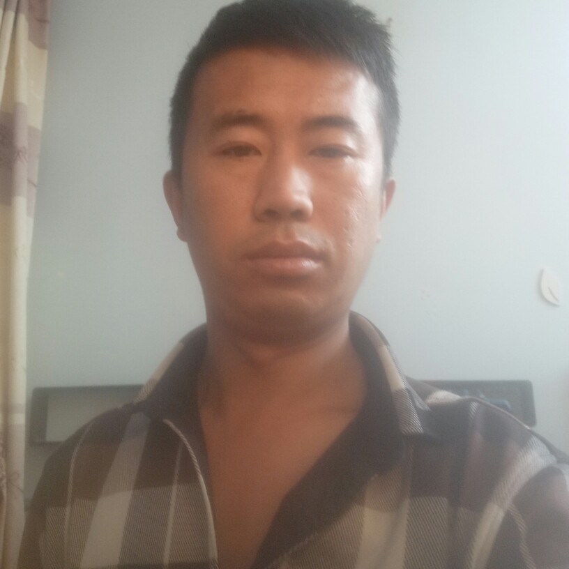 玉米放弃专一的照片