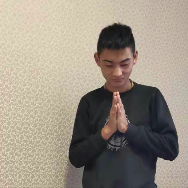 如意小蜜蜂的照片