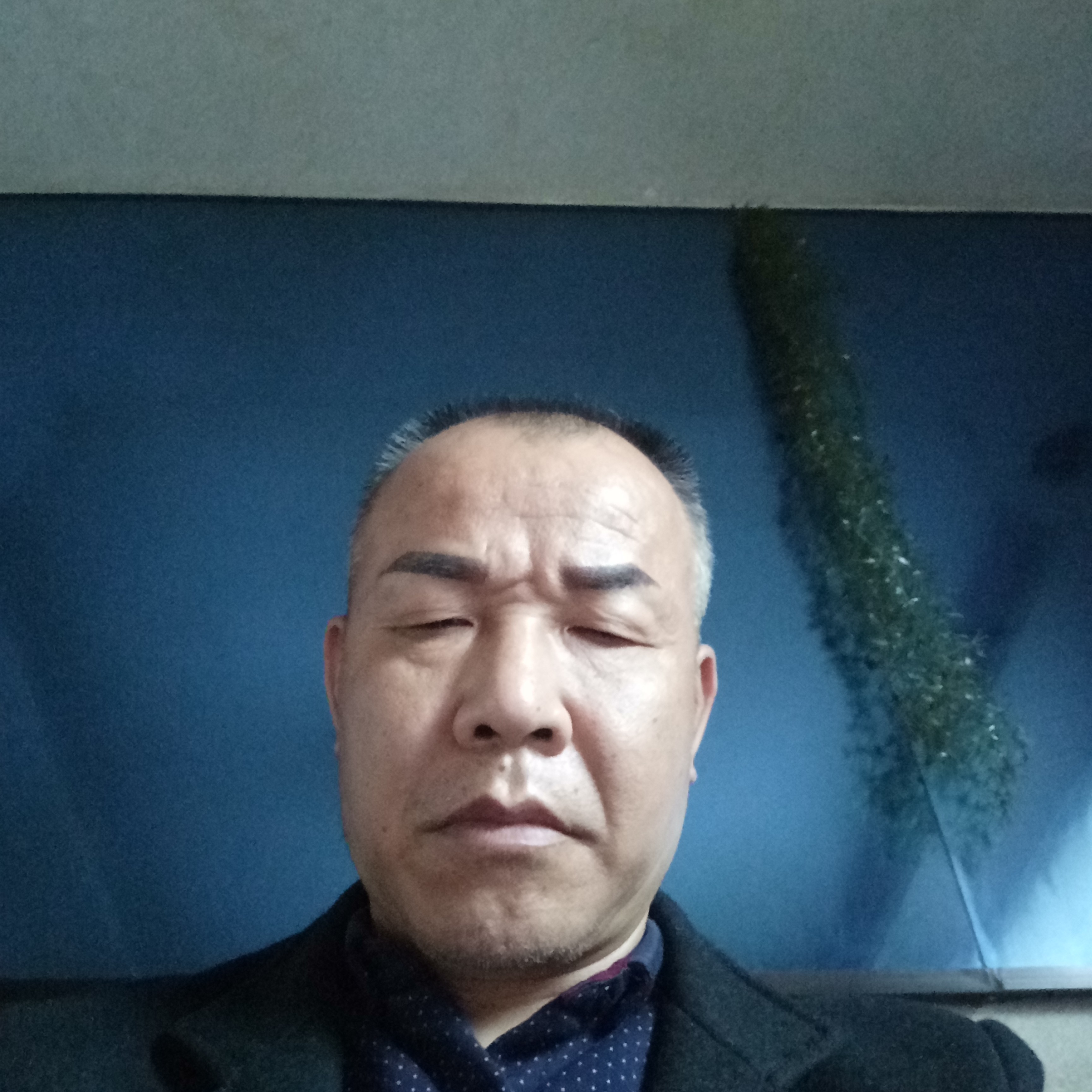 帅哥向我们的的照片