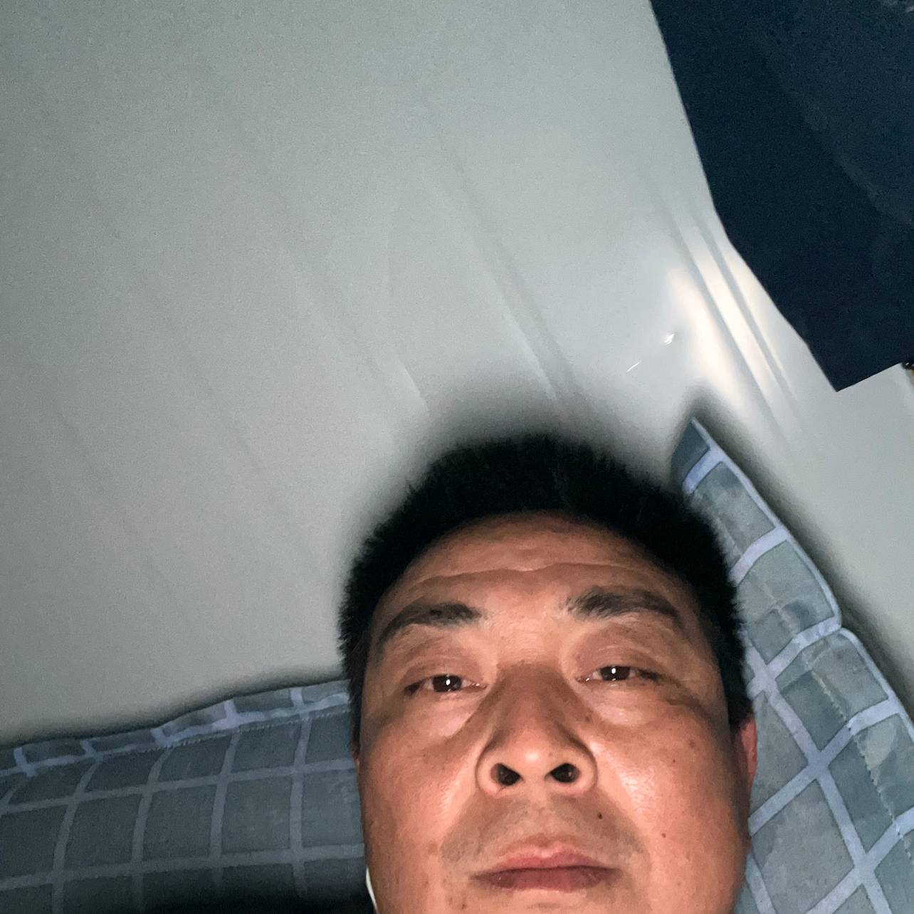 迷茫用康乃馨的照片
