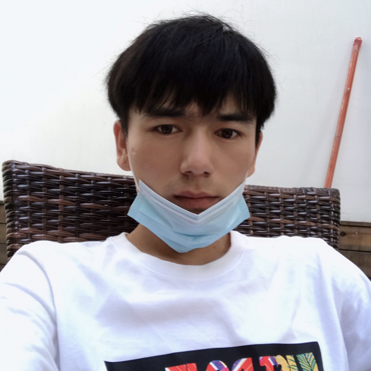 彼年回首大雁的照片