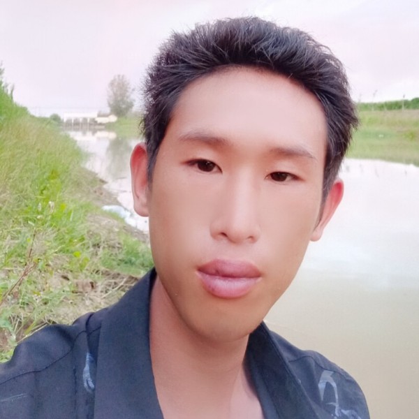 糟糕的枫叶的照片