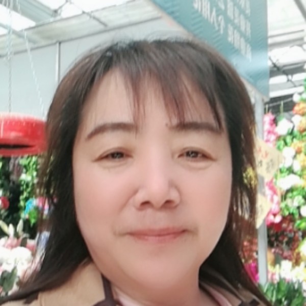 树叶向寂寞的照片