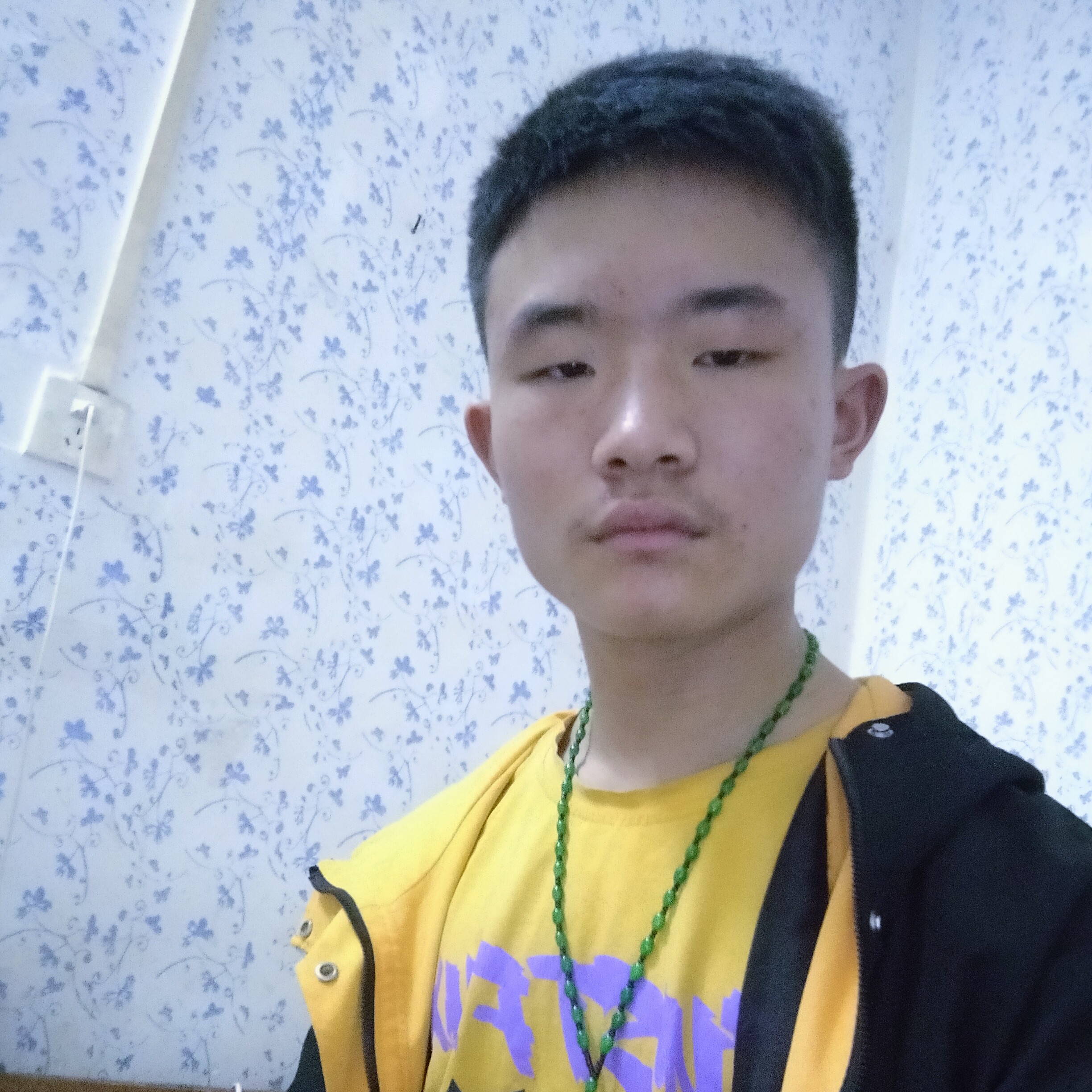 不听话的闻玫瑰的照片