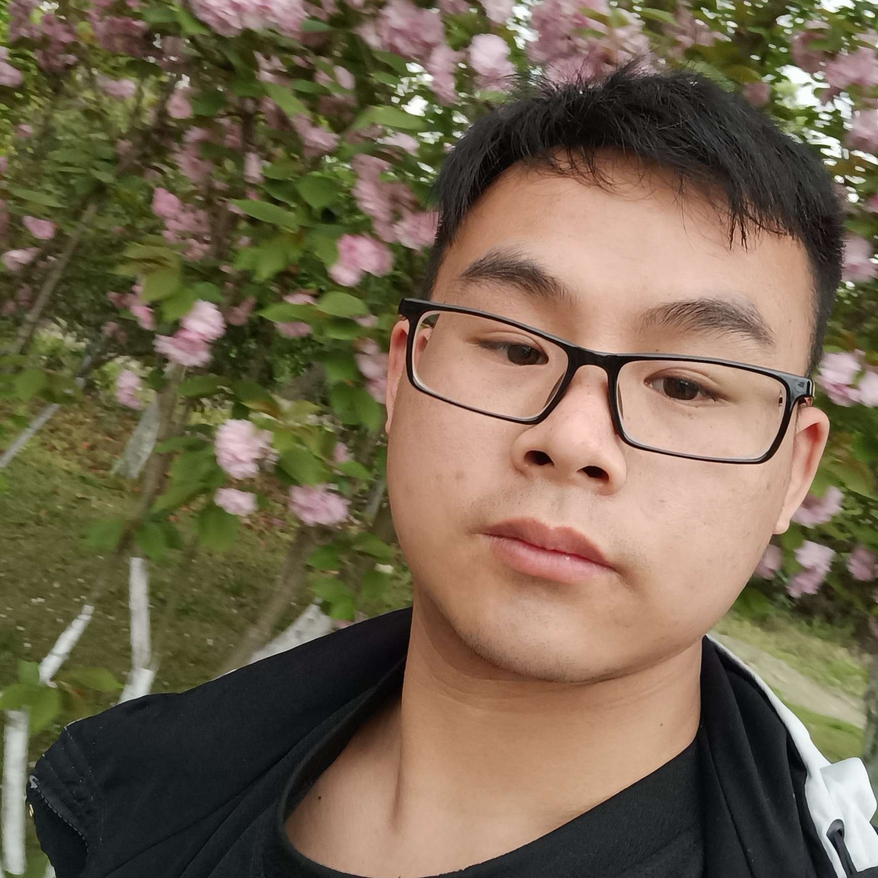 悲凉de木木的照片