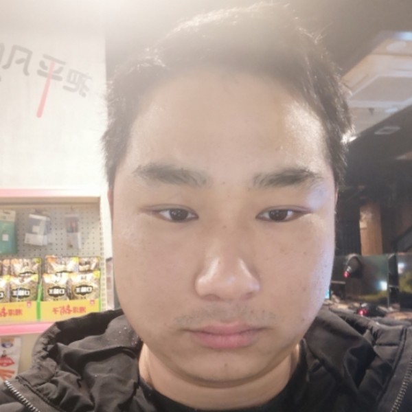 灰狼闪闪的照片