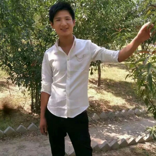 人生与自由的照片