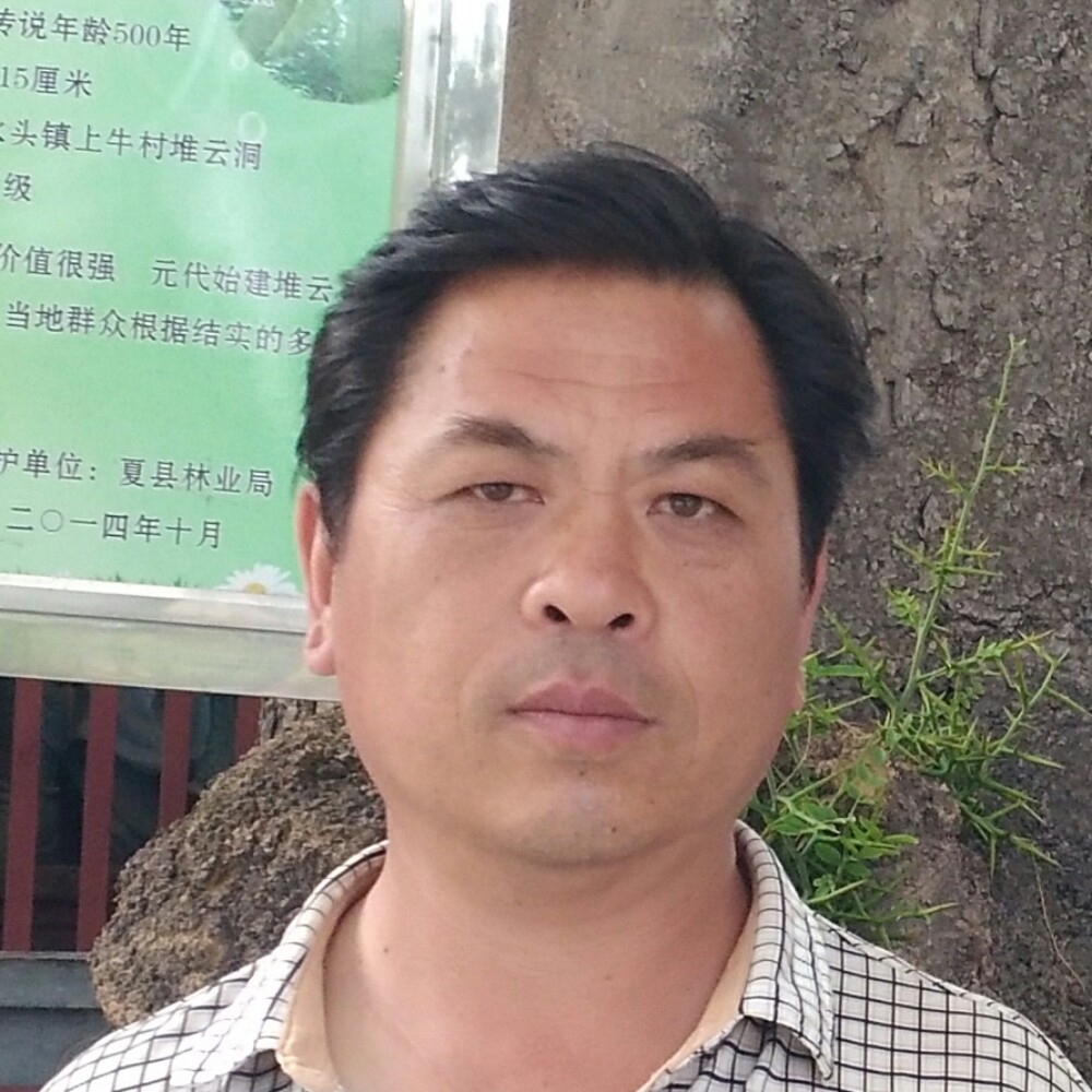 咖啡愤怒的照片