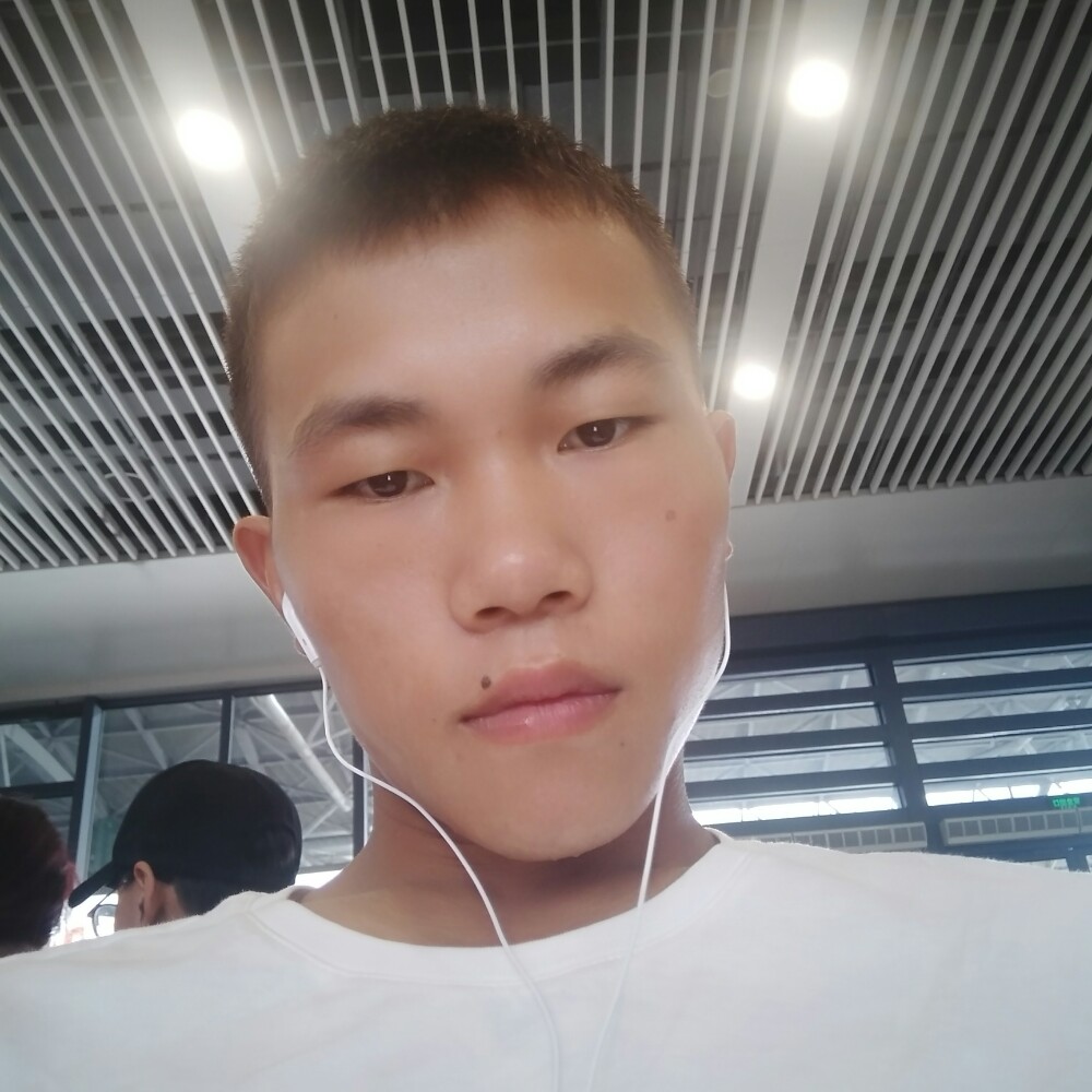 追寻柚子的照片