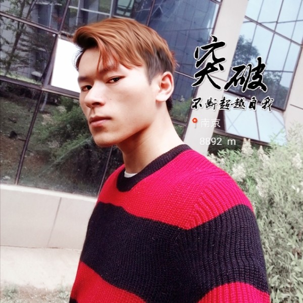 兔子。先森的照片