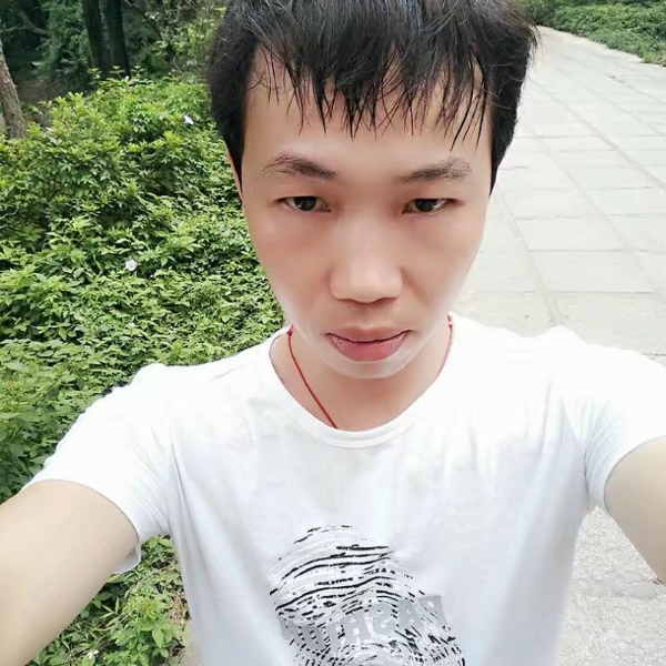 紫色清风的照片