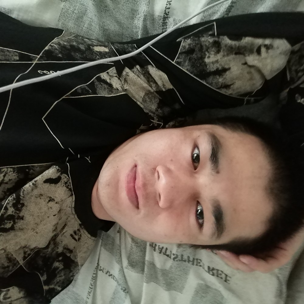 高山上的小草的照片