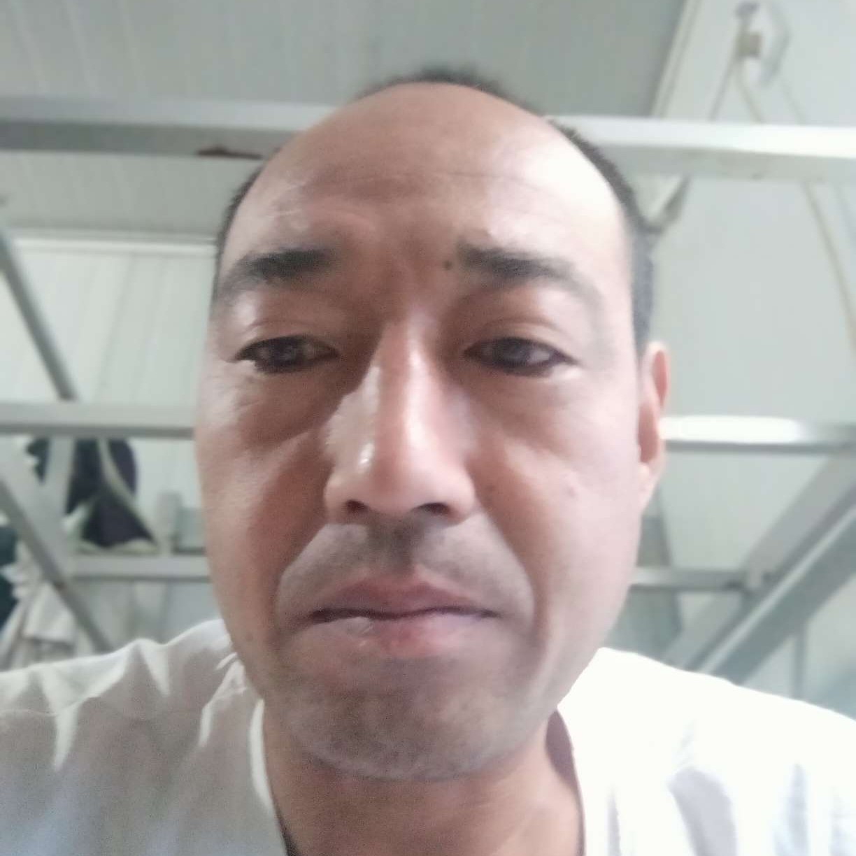 无心打小蝴蝶的照片