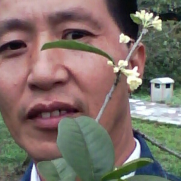 想找一个好女人的照片