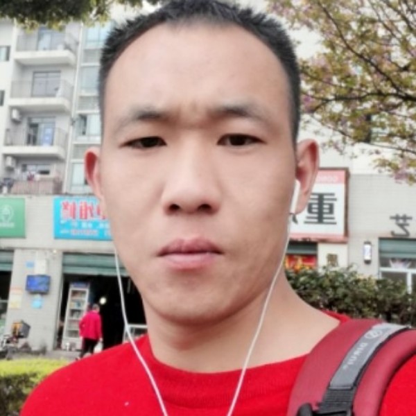 健壮請鸵鸟的照片