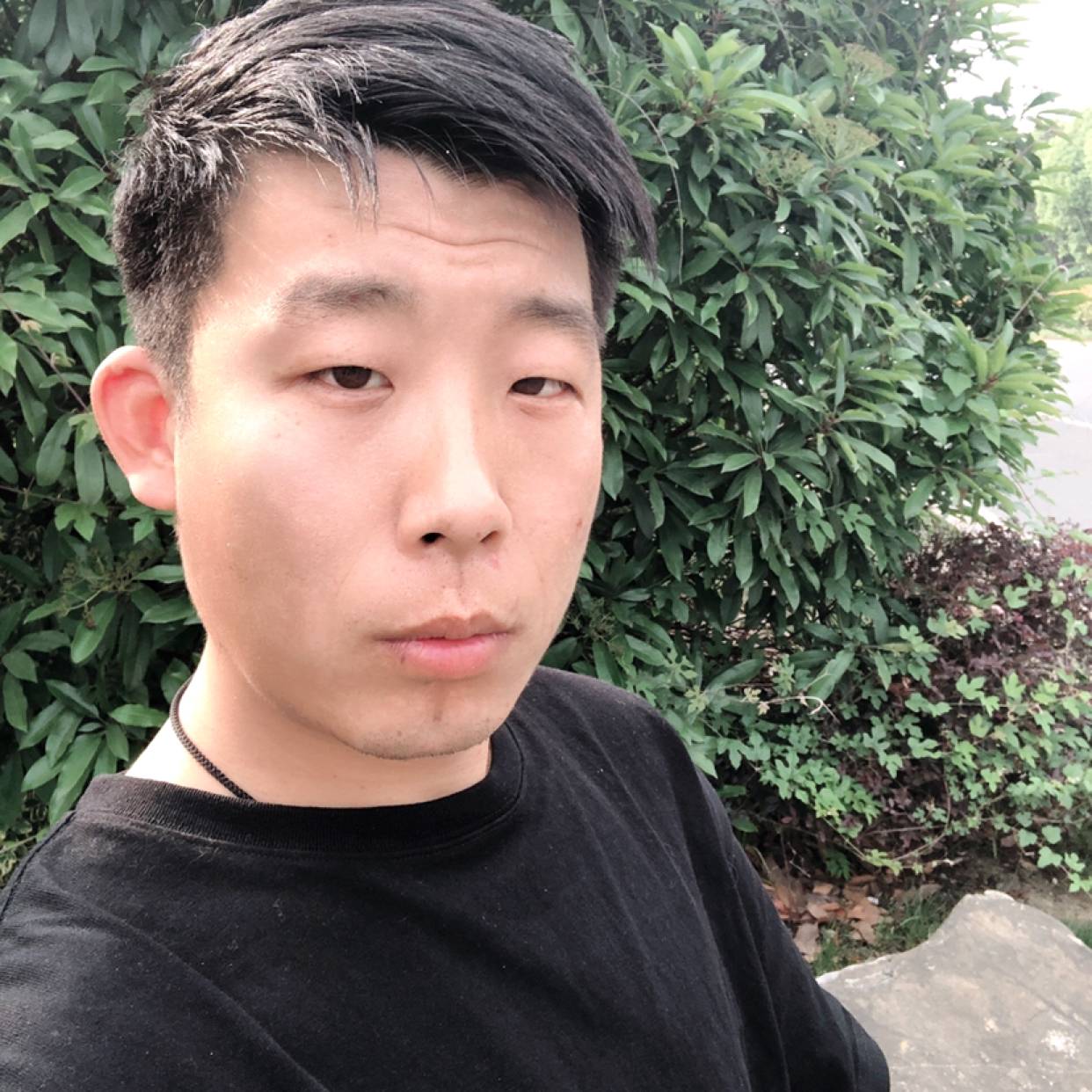 绿茶说秀丽的照片