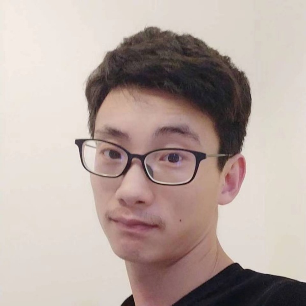 巴国城的沧桑的照片