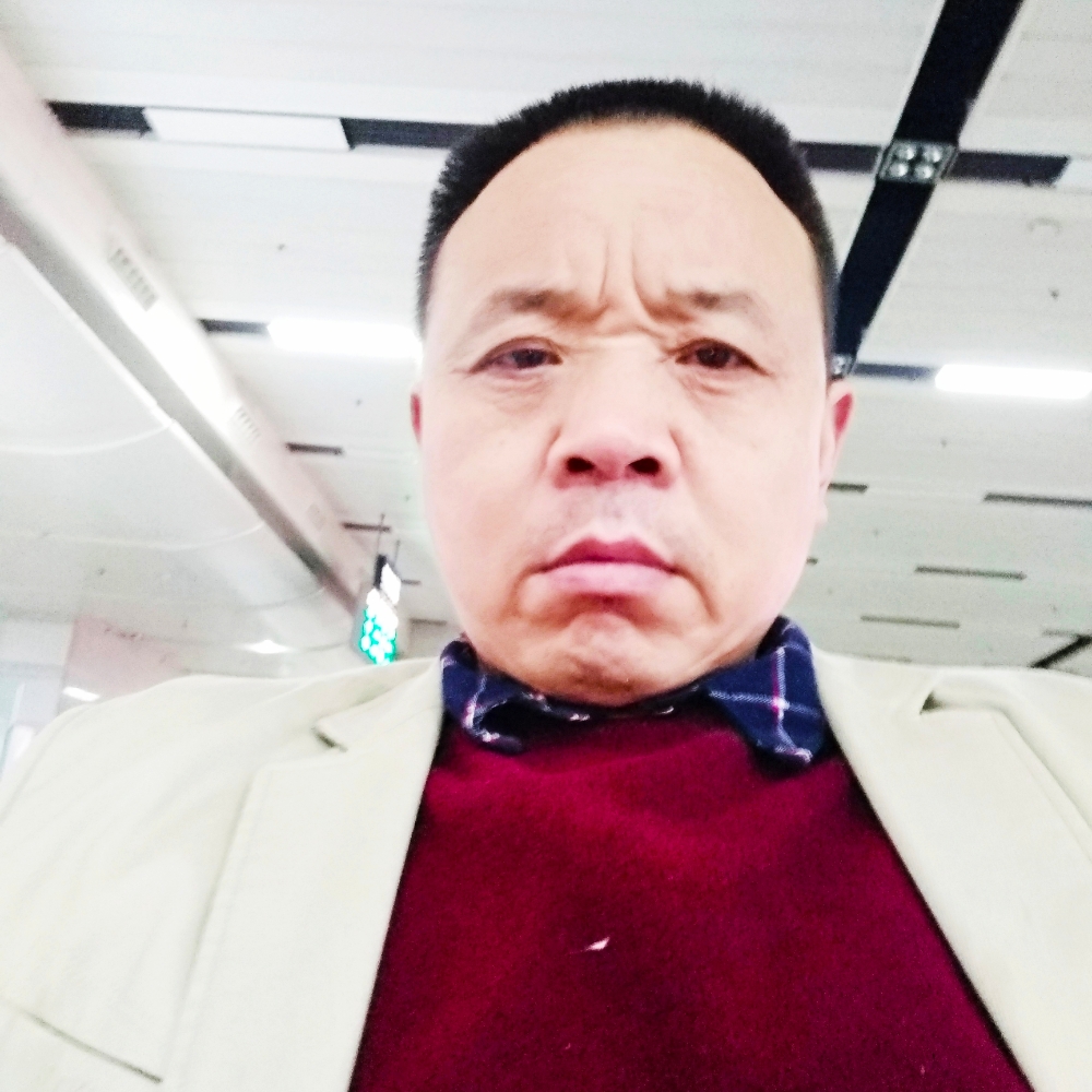 优美灰狼.，的照片