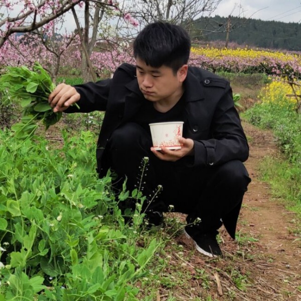 李..的照片