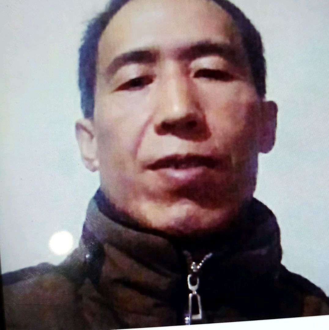 欢呼蝶衣冬的照片