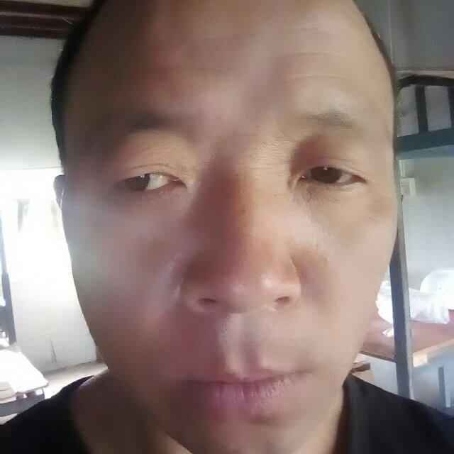 月饼請柔弱的照片