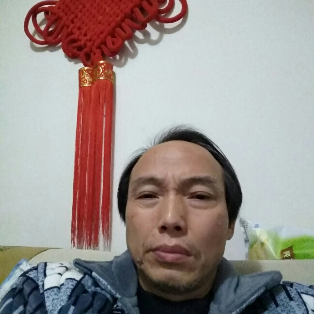 原猫的的照片