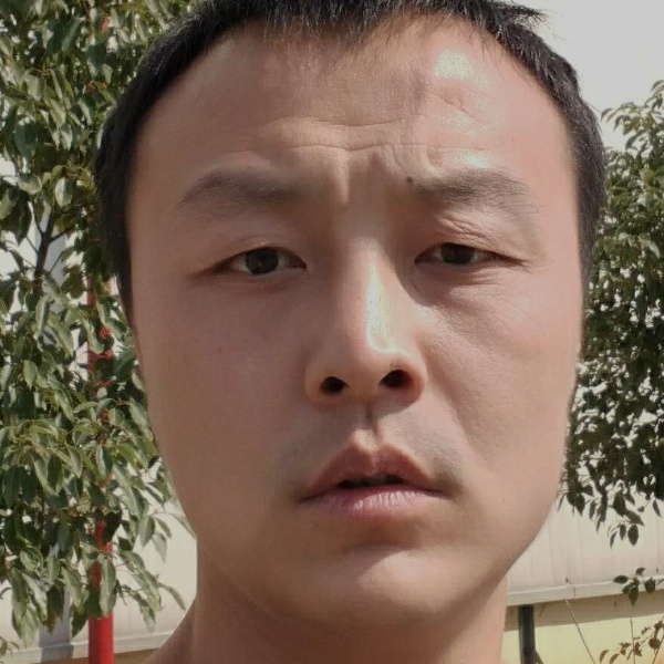 衬衫奋斗啦啦啦啦的照片
