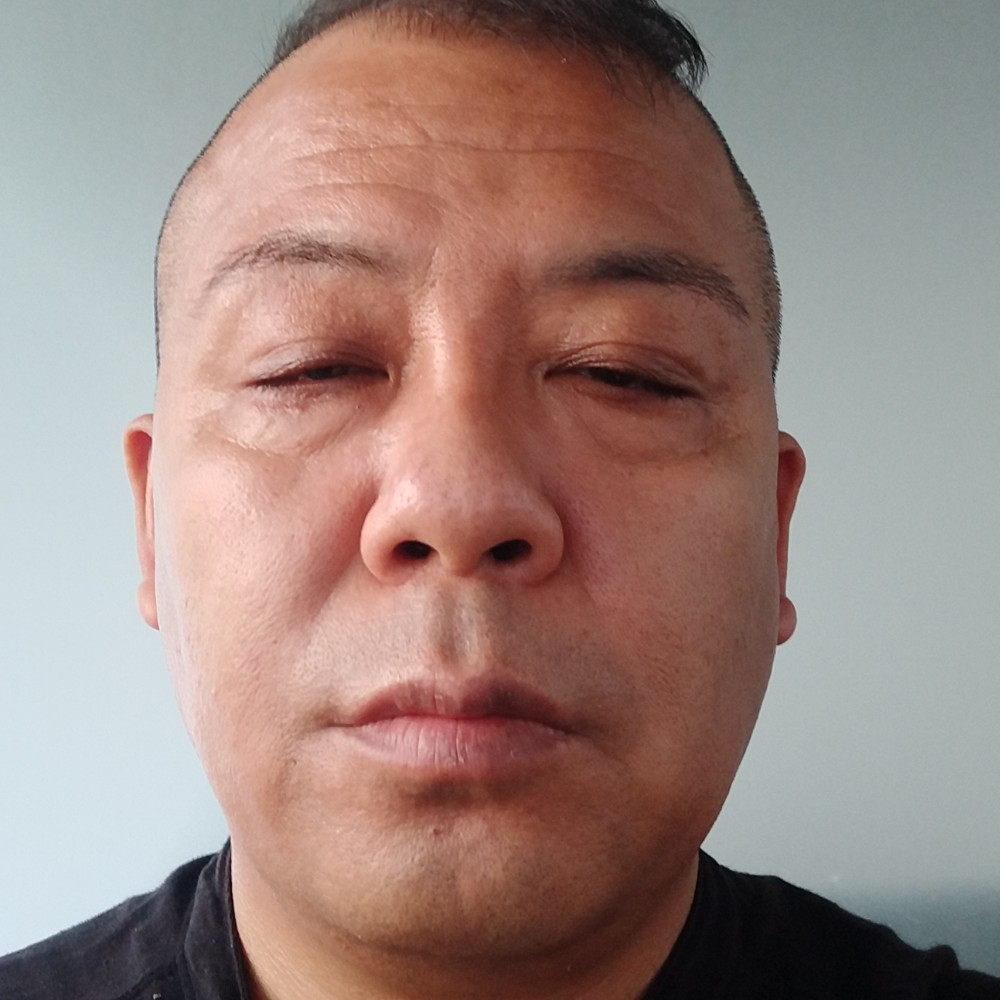 黄蜂孤独的照片
