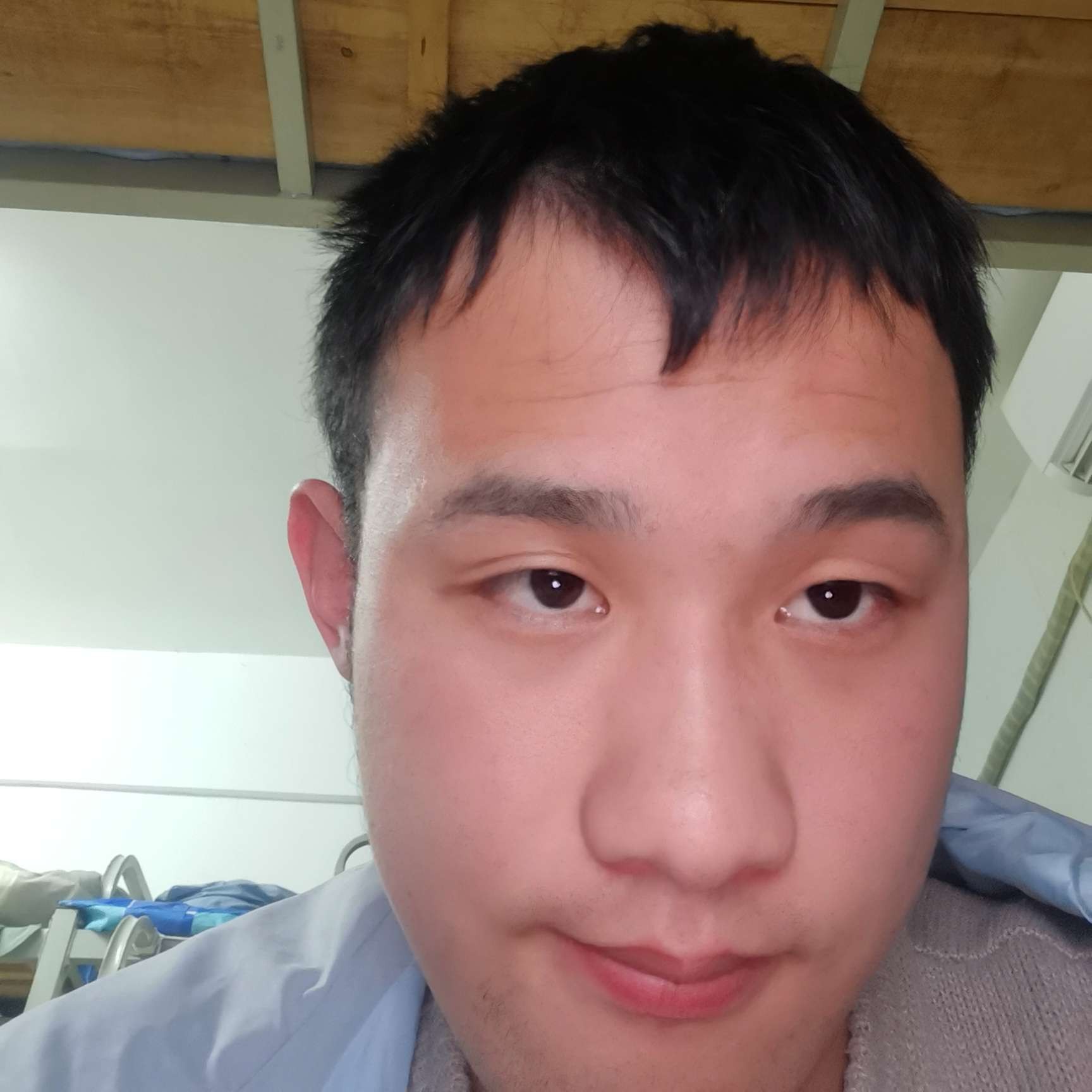 小猫咪笑伶俐的照片