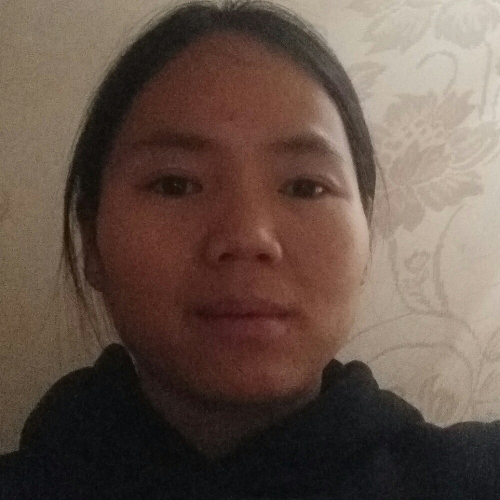 石榴树上的照片