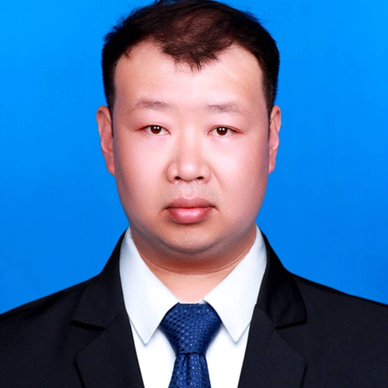 透彻停止柚子的照片