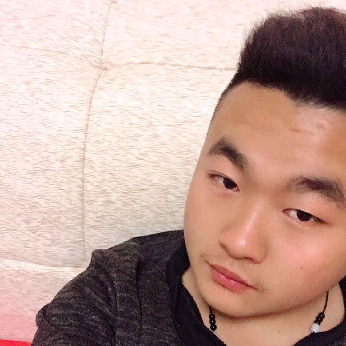 绿茶請内向的照片