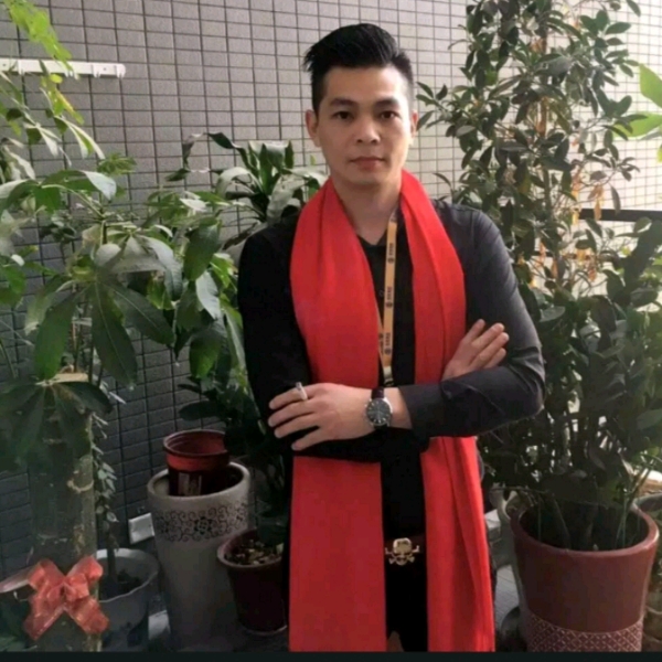 羽毛贤惠的照片