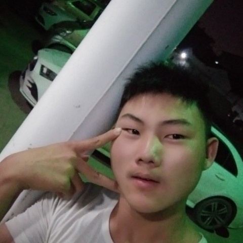 阔达相许小天鹅的照片