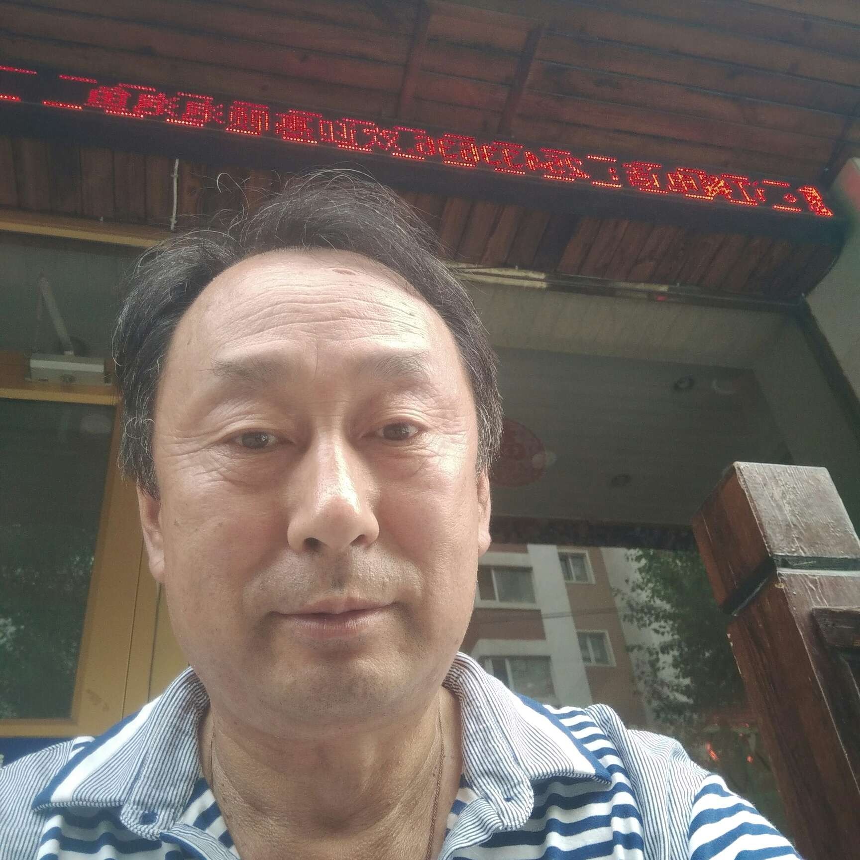 白猫狼图腾的照片